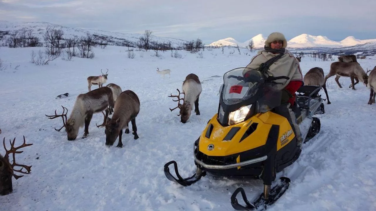 Cómo el calentamiento global está cambiando un idioma que tiene más de 300 palabras para describir la nieve