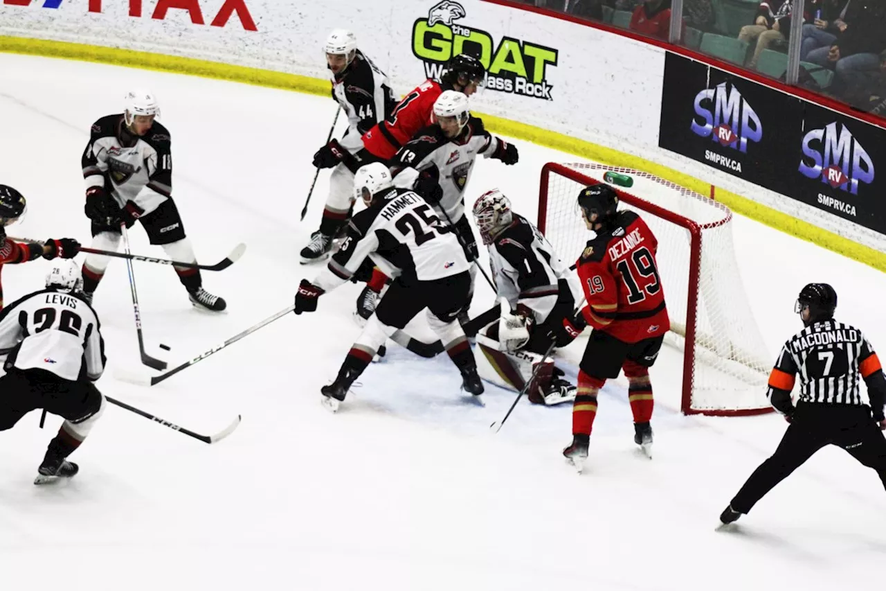 Vancouver Giants blindsided by Cats' first-period blitz