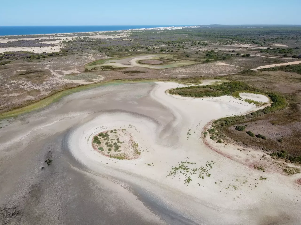 La falta de agua muta Doñana: lagunas resecas, anguilas en peligro, sapos desaparecidos y halcones en...