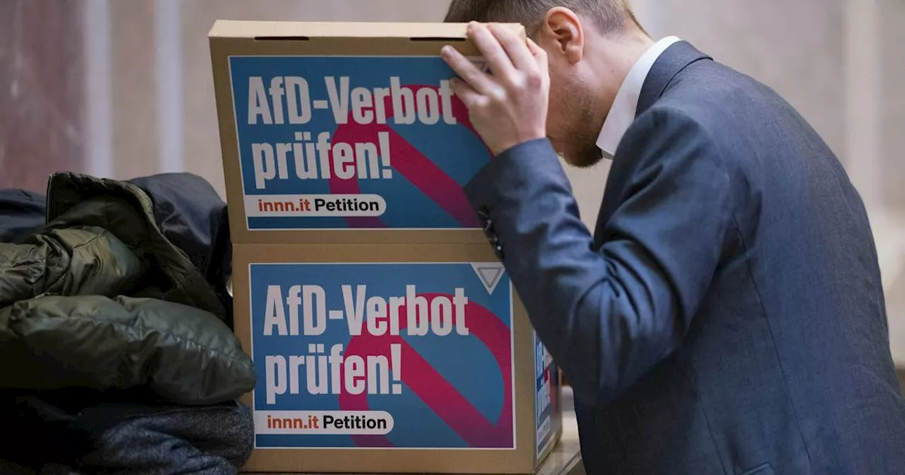 Interview: Staatsrechtler Martin Morlok über ein AfD-Verbot