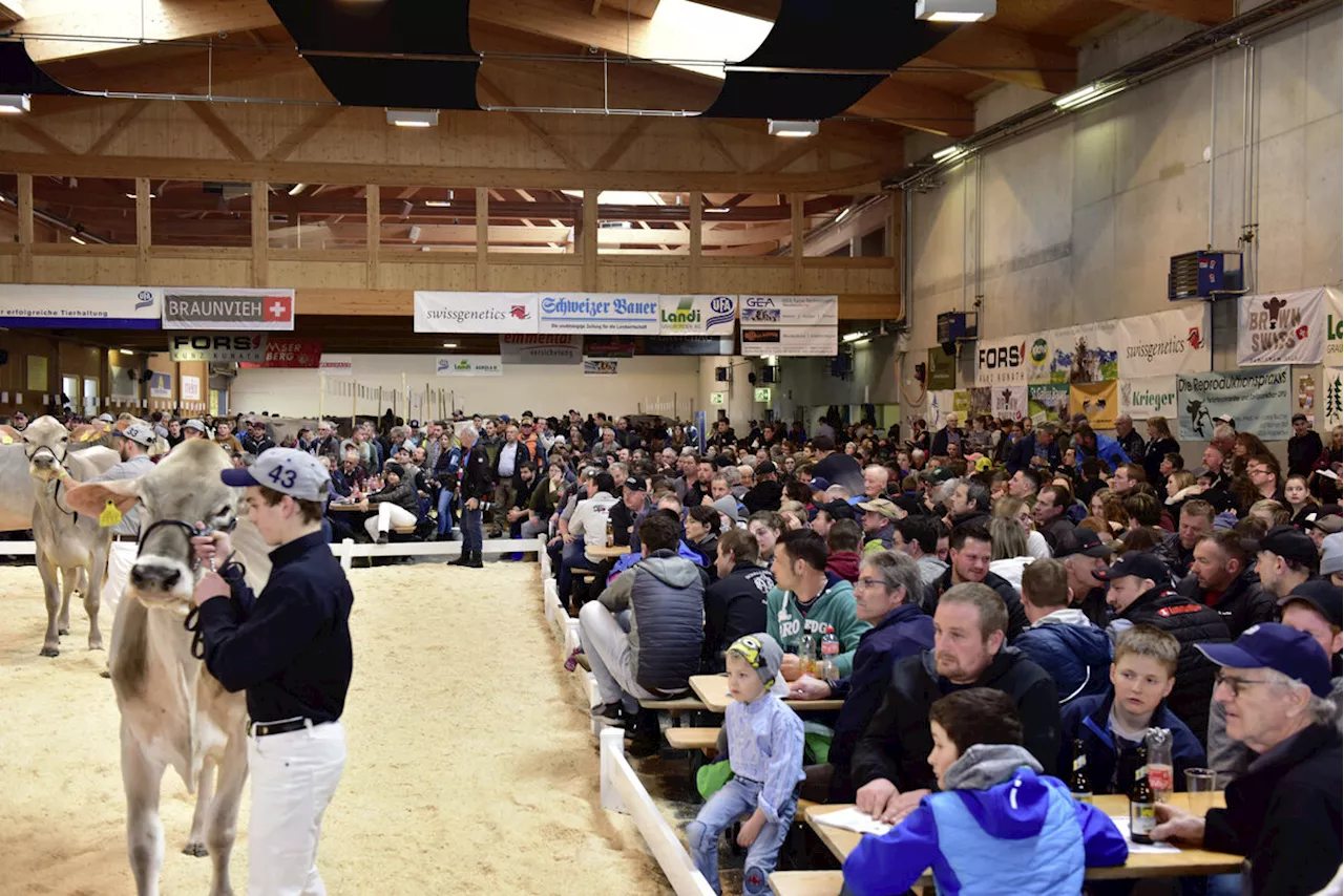 Alles zum Brown Swiss Masters