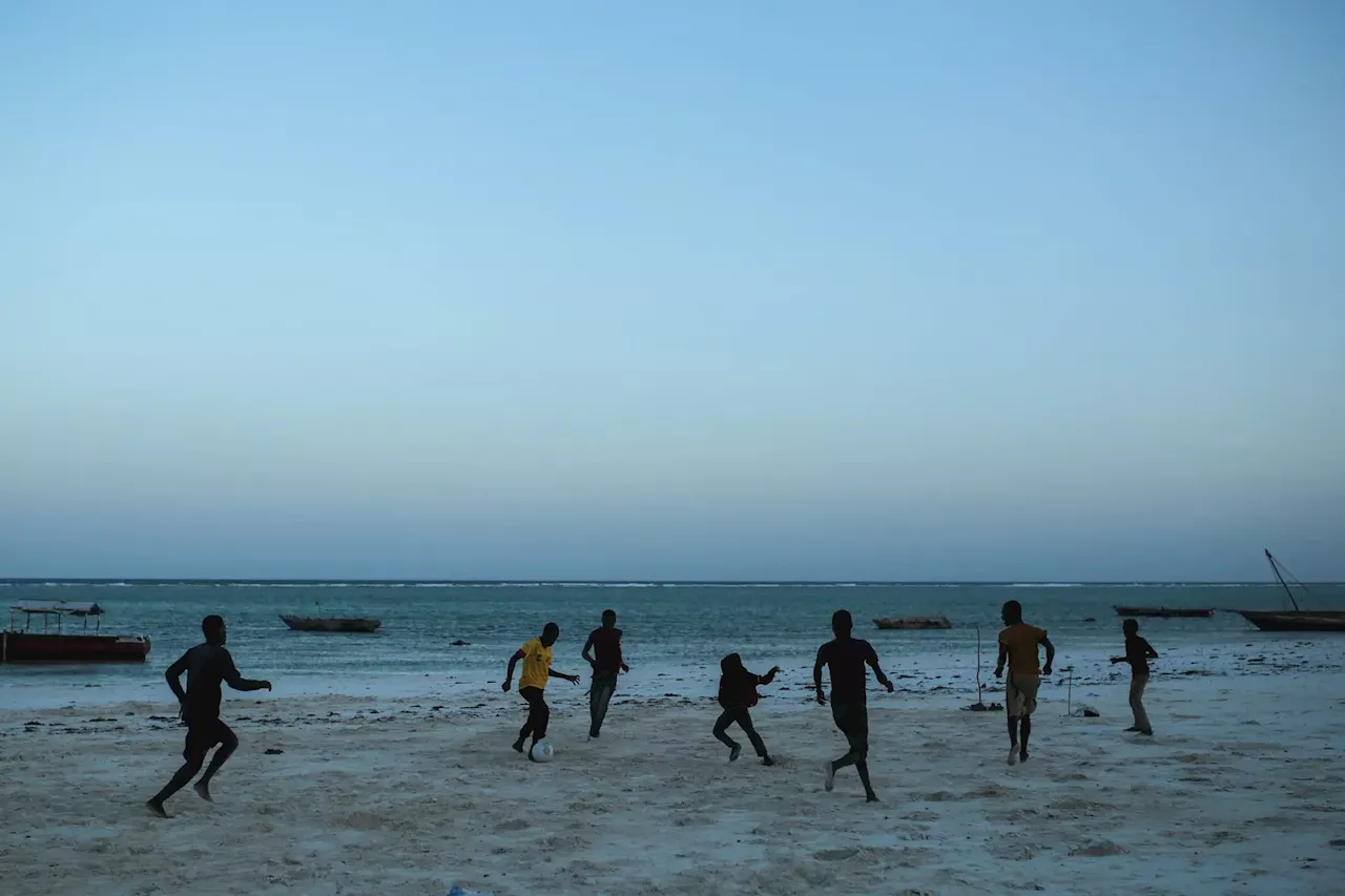 Oito crianças e um adulto morreram depois de comerem tartaruga marinha em Zanzibar