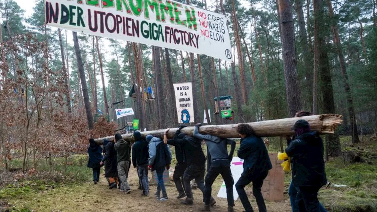 Autofabrik: Protest gegen Tesla: Waldbesetzer wollen Camp nicht räumen