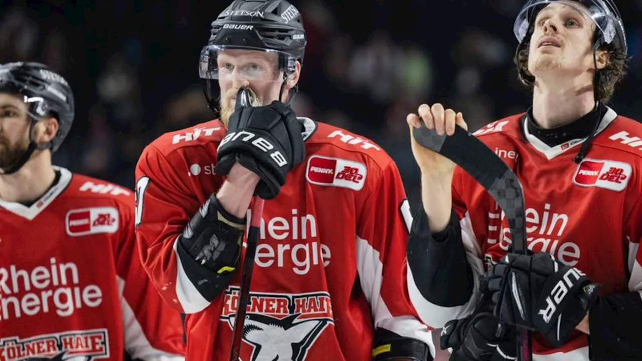 DEL: Köln und Mannheim gewinnen zum Auftakt der DEL-Playoffs