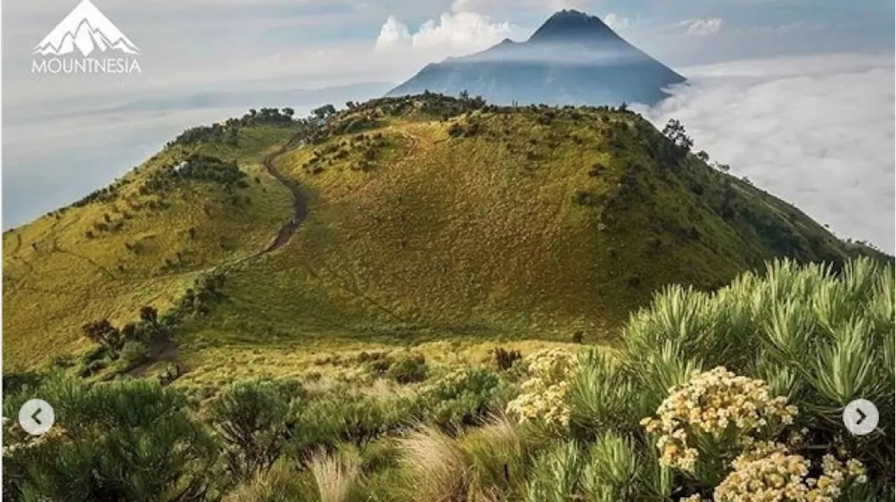 Orang-orang Turun dari Merbabu Butuh 4 Jam, Pria Ini justru Tempuh Waktu 17 Menit Saja, Kok Bisa?