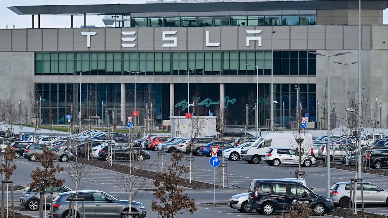 Proteste in Grünheide: Umweltbündnis demonstriert gegen Tesla – auch Unterstützungsaktion