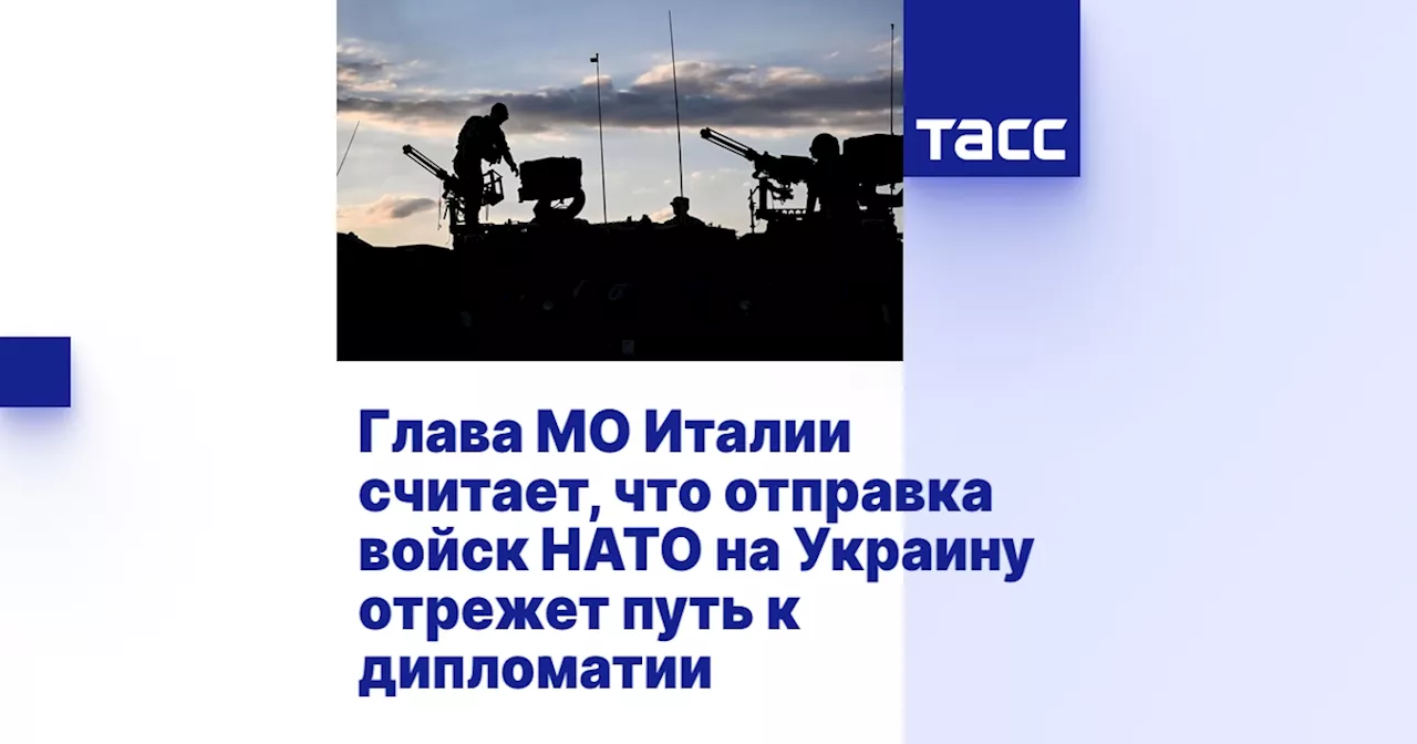 Глава МО Италии считает, что отправка войск НАТО на Украину отрежет путь к дипломатии