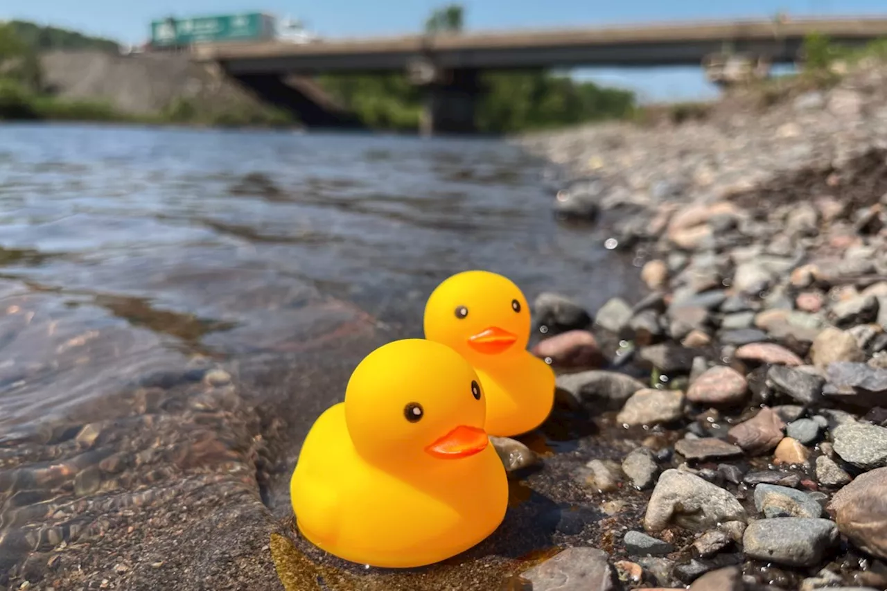 Kam River Ultimate Duck Race returning this spring