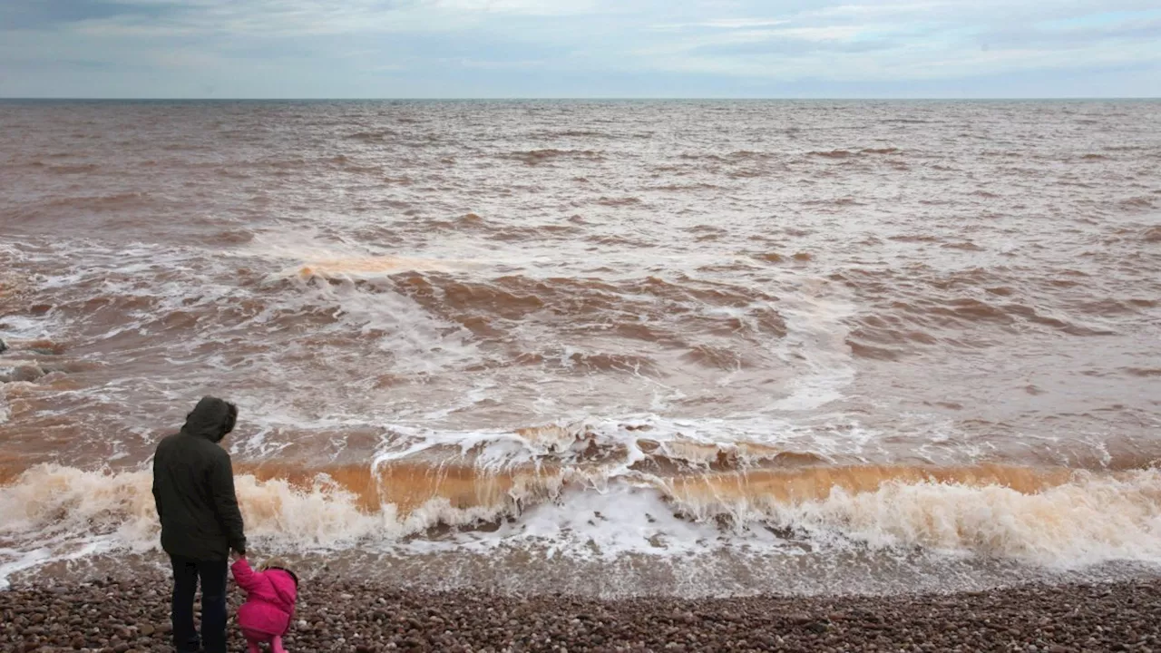 Devon beauty spot suffers sewage outflow for over 12 hours