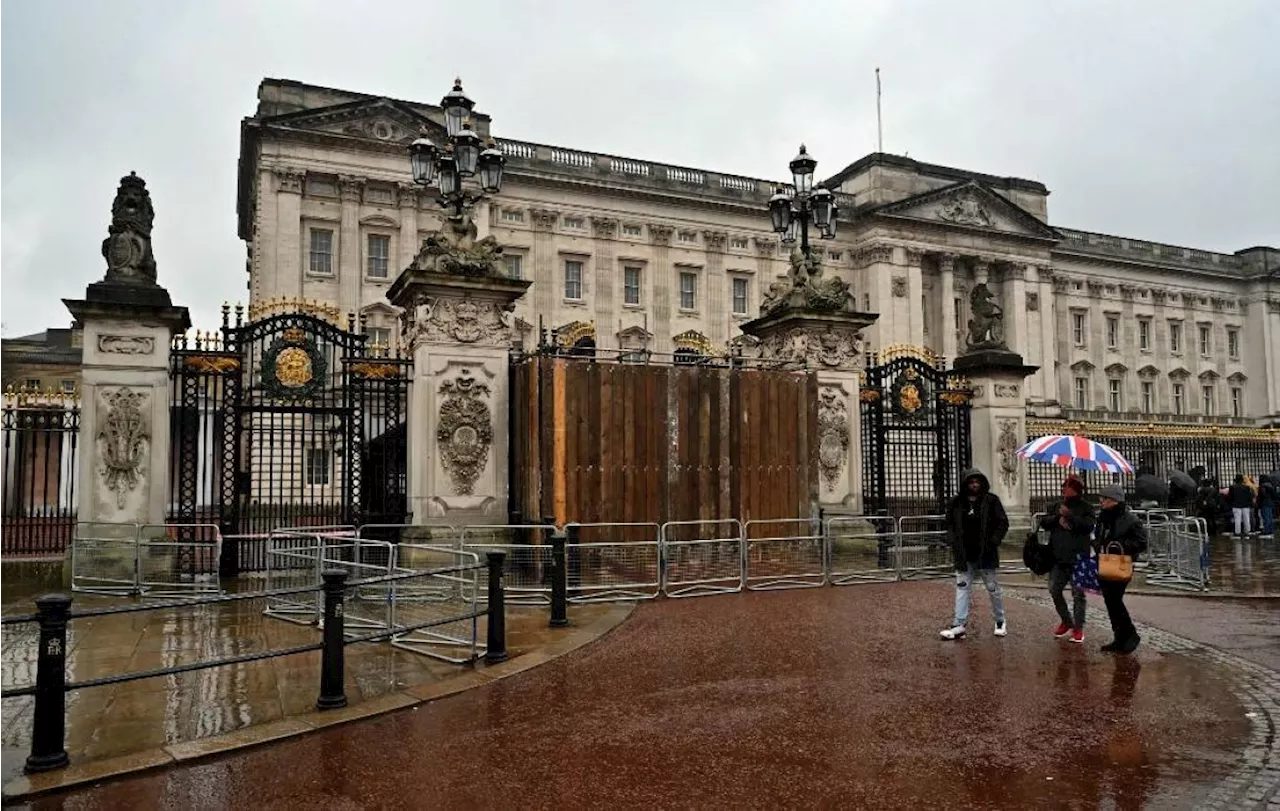 Man arrested for crashing car into Buckingham Palace gates