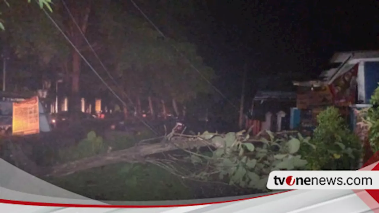 Pohon Jati Tumbang Timpa Kabel, 81 Gardu Listrik di Kota Banjar Padam