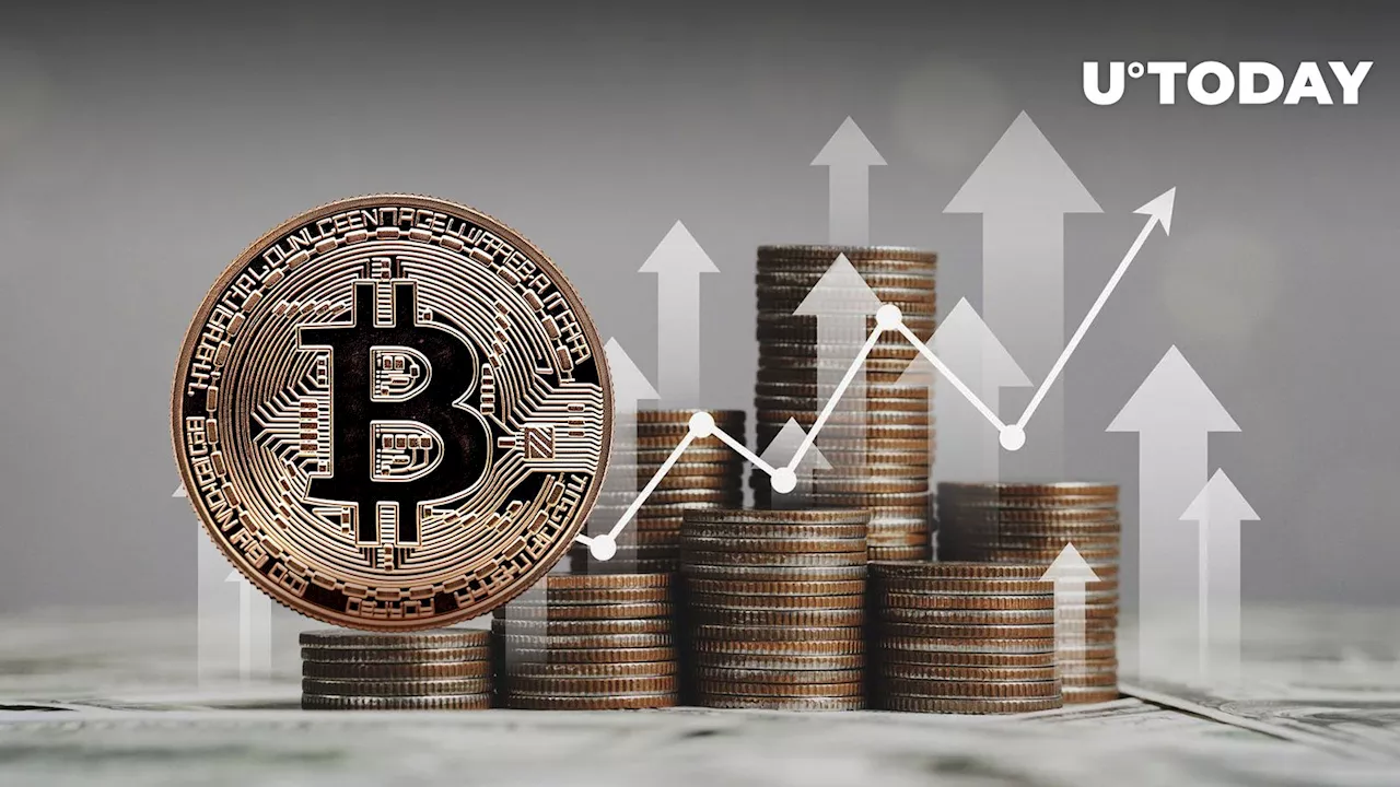 How Does Bitcoin Price Historically Move 1 Month Prior to Halving?