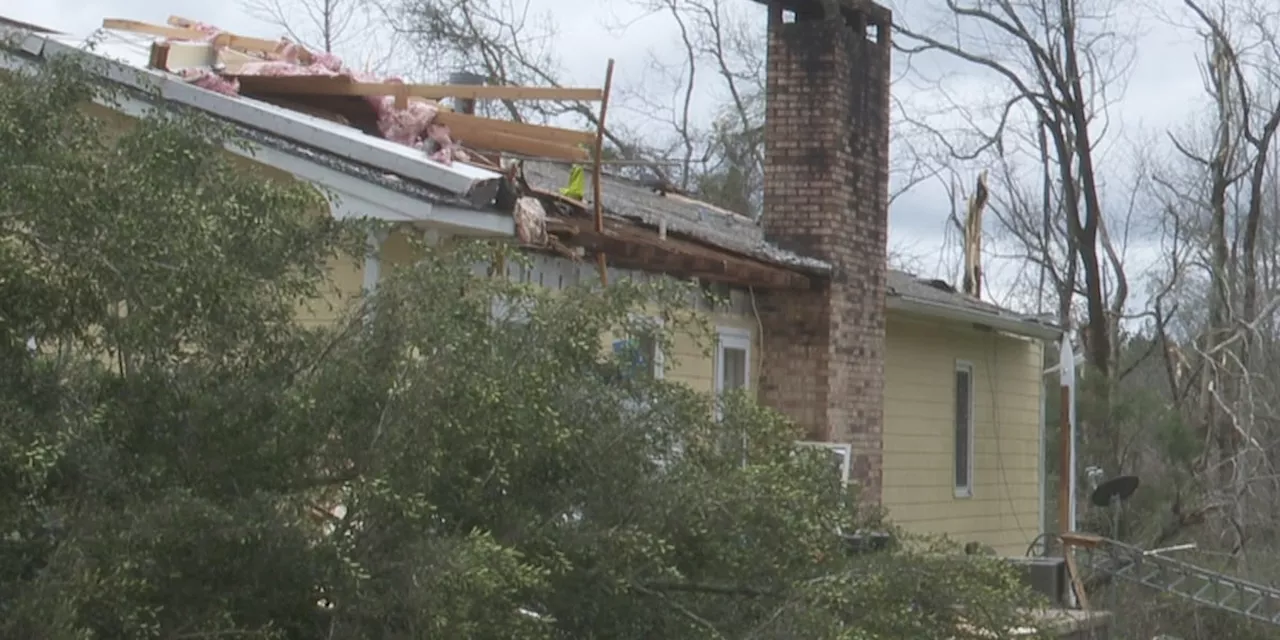 Forecasters rate Dale County tornado EF-1