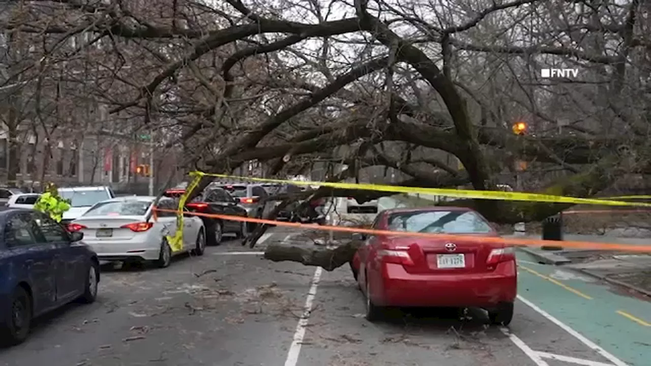 Strong winds knock down trees across Tri-State, cause partial wall collapse in Fort Lee