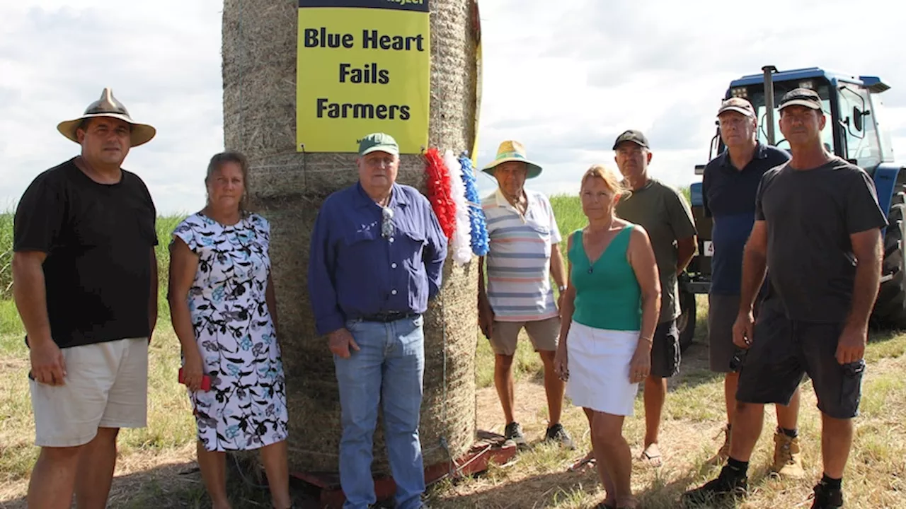 Farmers protest Sunshine Coast's Blue Heart project aimed at mitigating climate change flood risks