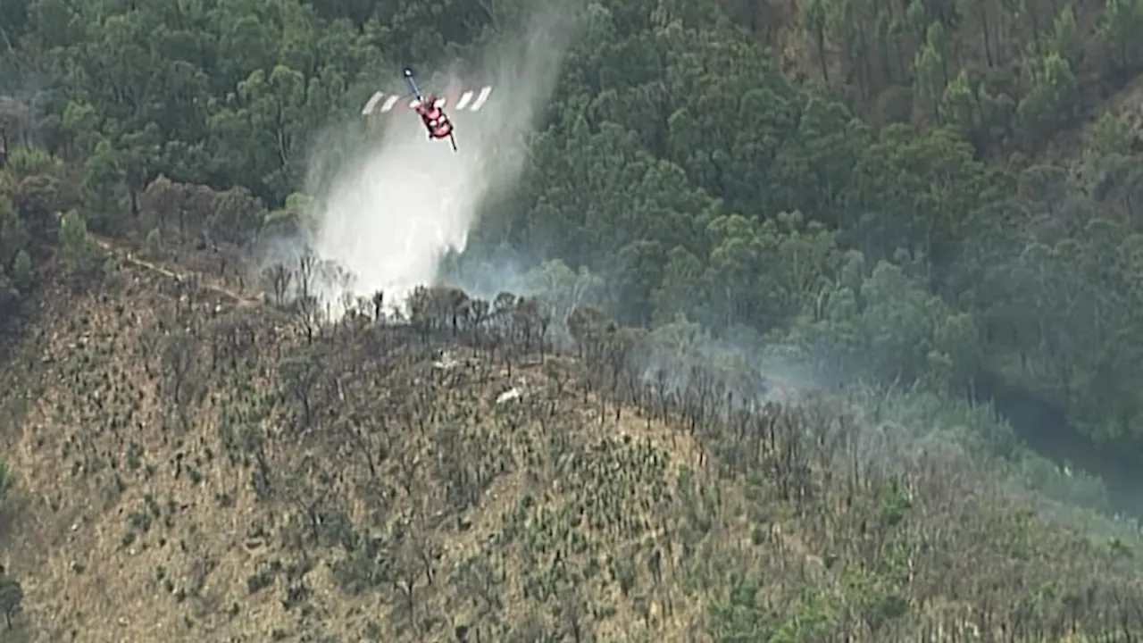 Forest fire breaks out at Highbury in the Adelaide Hills amid extreme heat across SA