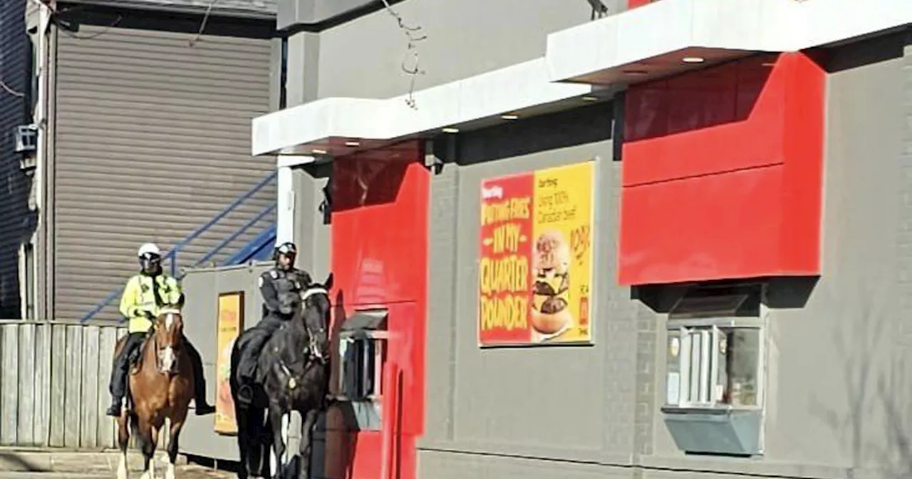 Two horses just rode through a McDonalds drive-thru in Toronto