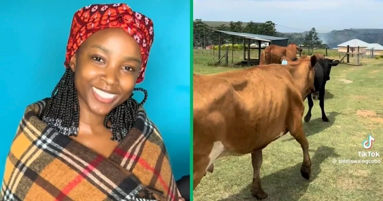 Makoti Shares Visuals From Her Lobola Day in TikTok Video, Heartwarming Traditional Ceremony Trends