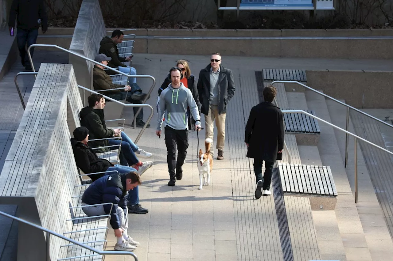 Warm, breezy weather predicted across Chicago area Monday, Tuesday