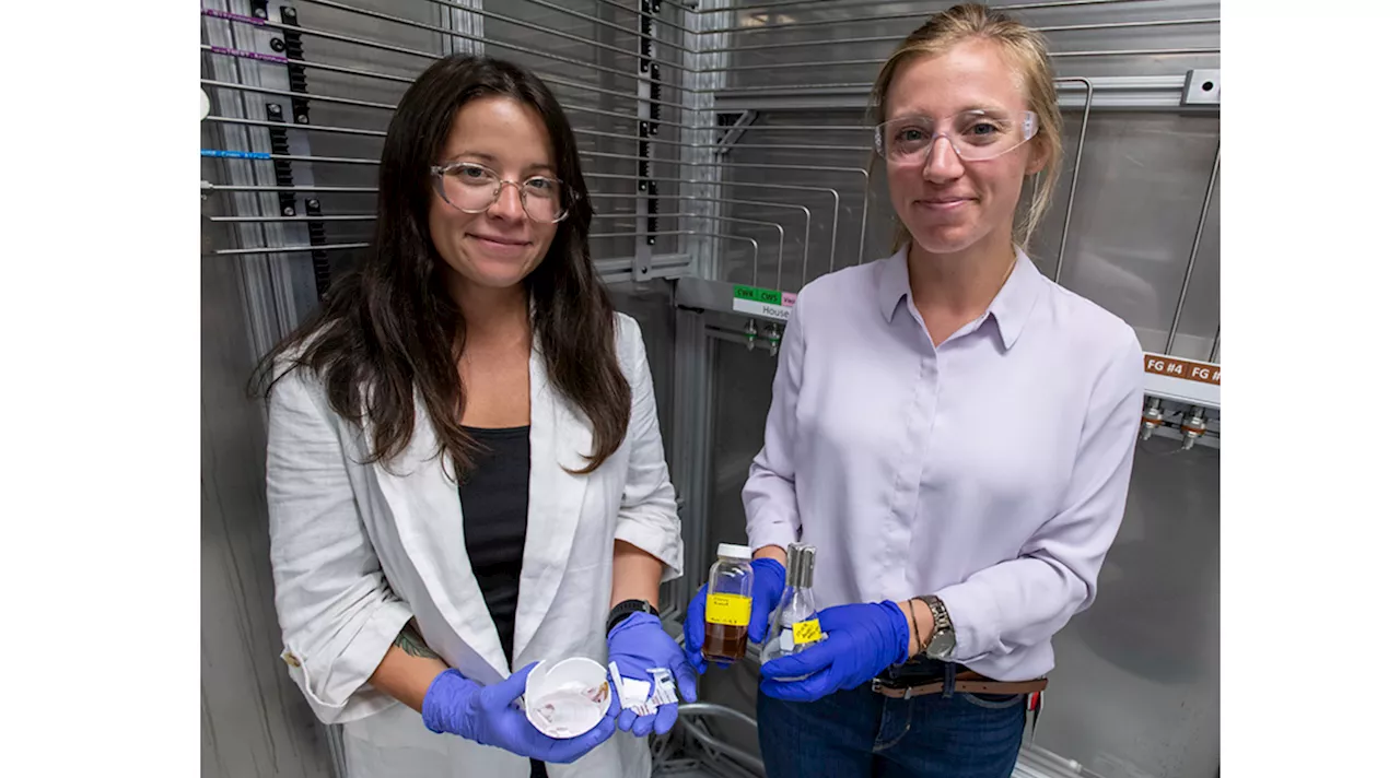 From Instant Grits to Polymers: Scientist Kat Knauer Is Laser Focused on Plastics Pollution