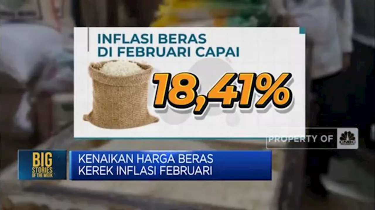 Video: Stok Langka, Harga Beras Menggila Tembus Rekor