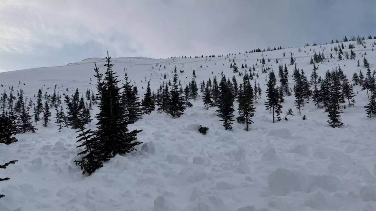 Skier Killed in Avalanche in Kananaskis