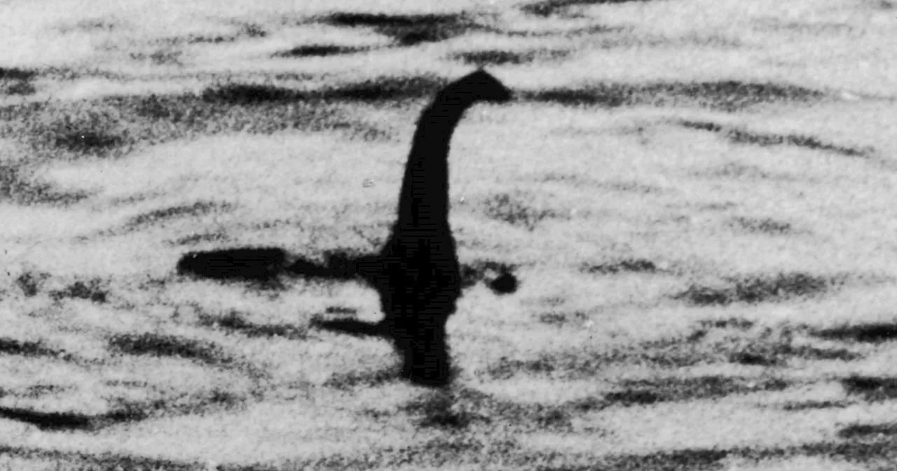 Loch Ness Monster in gender row as new book portrays beast as male