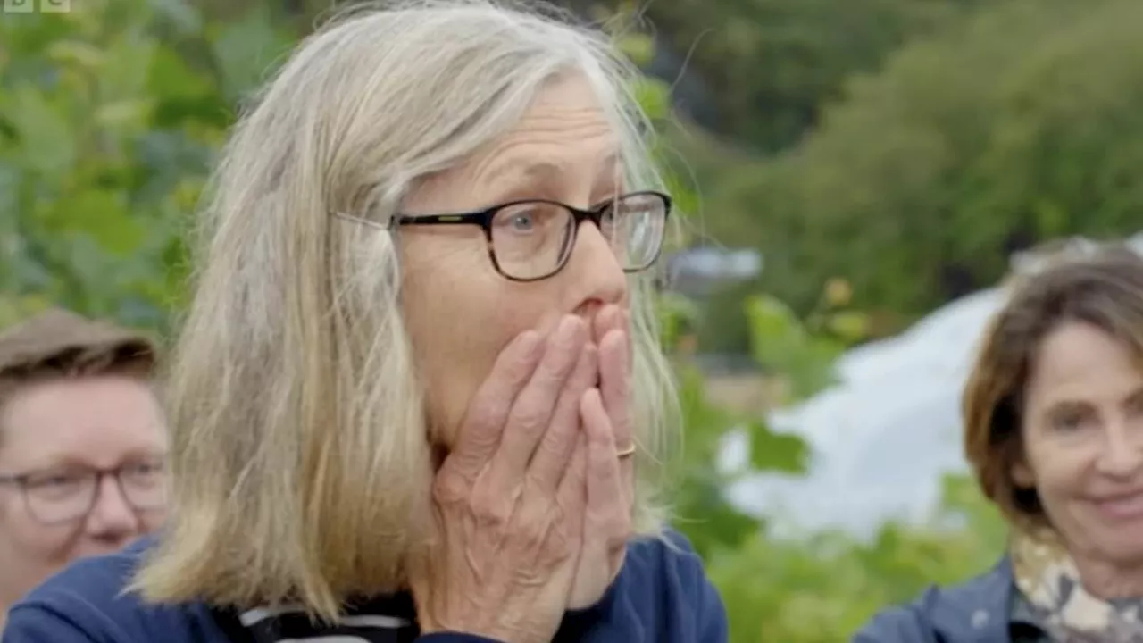 Antiques Roadshow discovers 50p wine glass is actually 300-years old