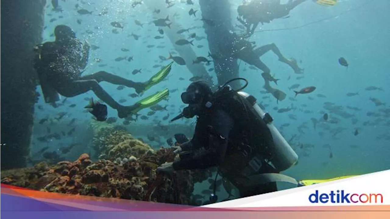 Wow! Tukang Las Bawah Laut Punya Gaji Fantastis, Bisa Sampai Rp 1 M