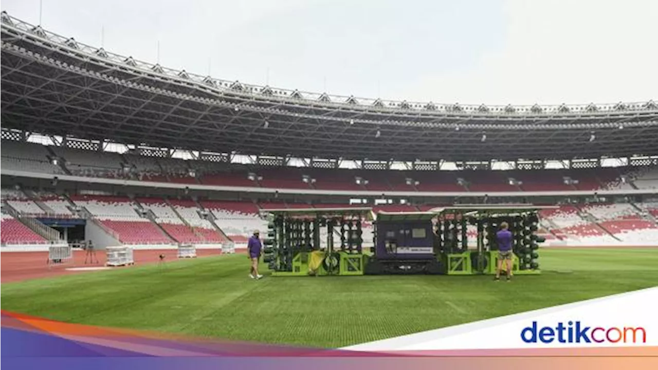 SUGBK Perbaiki Kualitas Rumput Jelang Indonesia Vs Vietnam