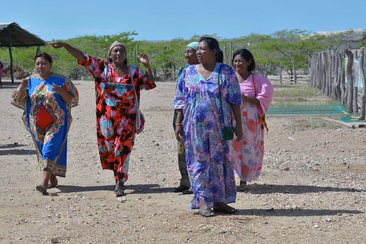 Avalan en wayuunaiki difusión de sentencia en La Guajira