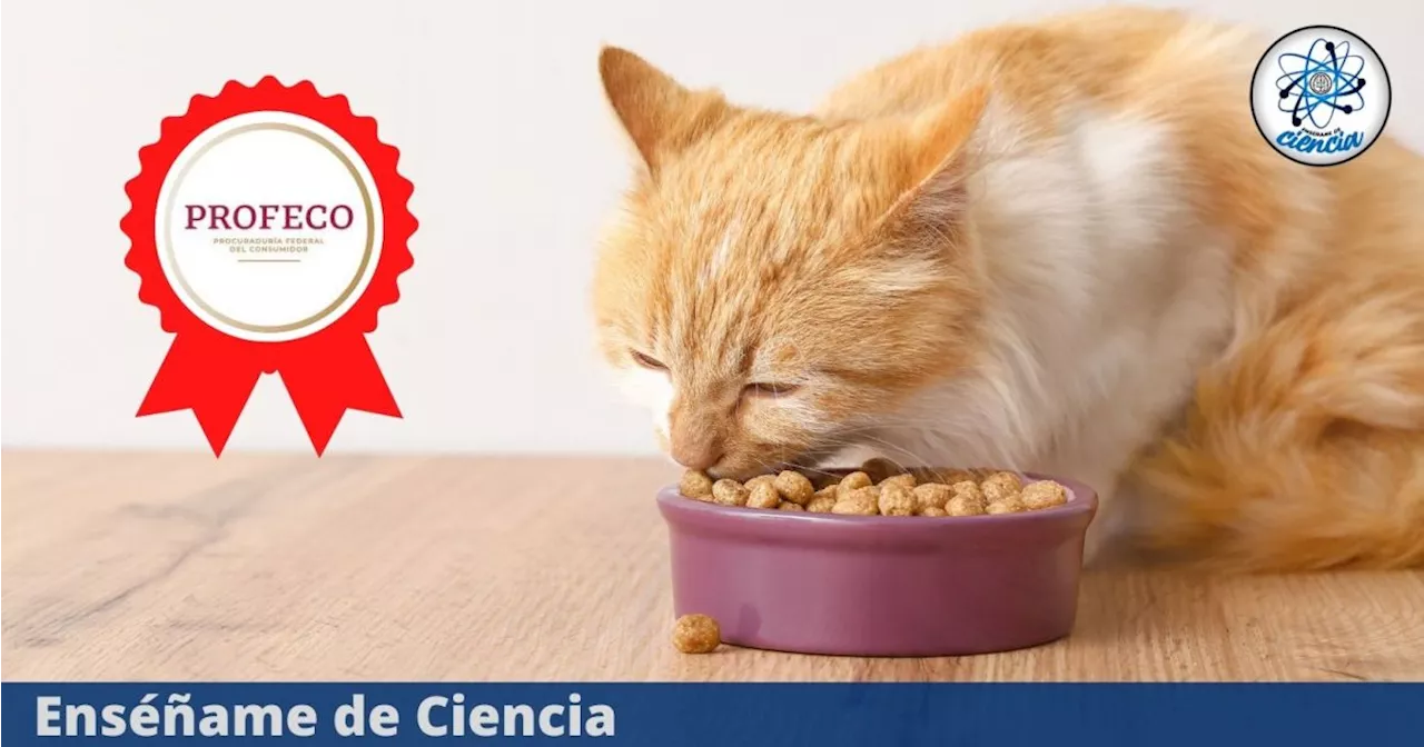 Pocos la conocen, pero es la mejor croqueta para gatos, es superior a Whiskas según PROFECO