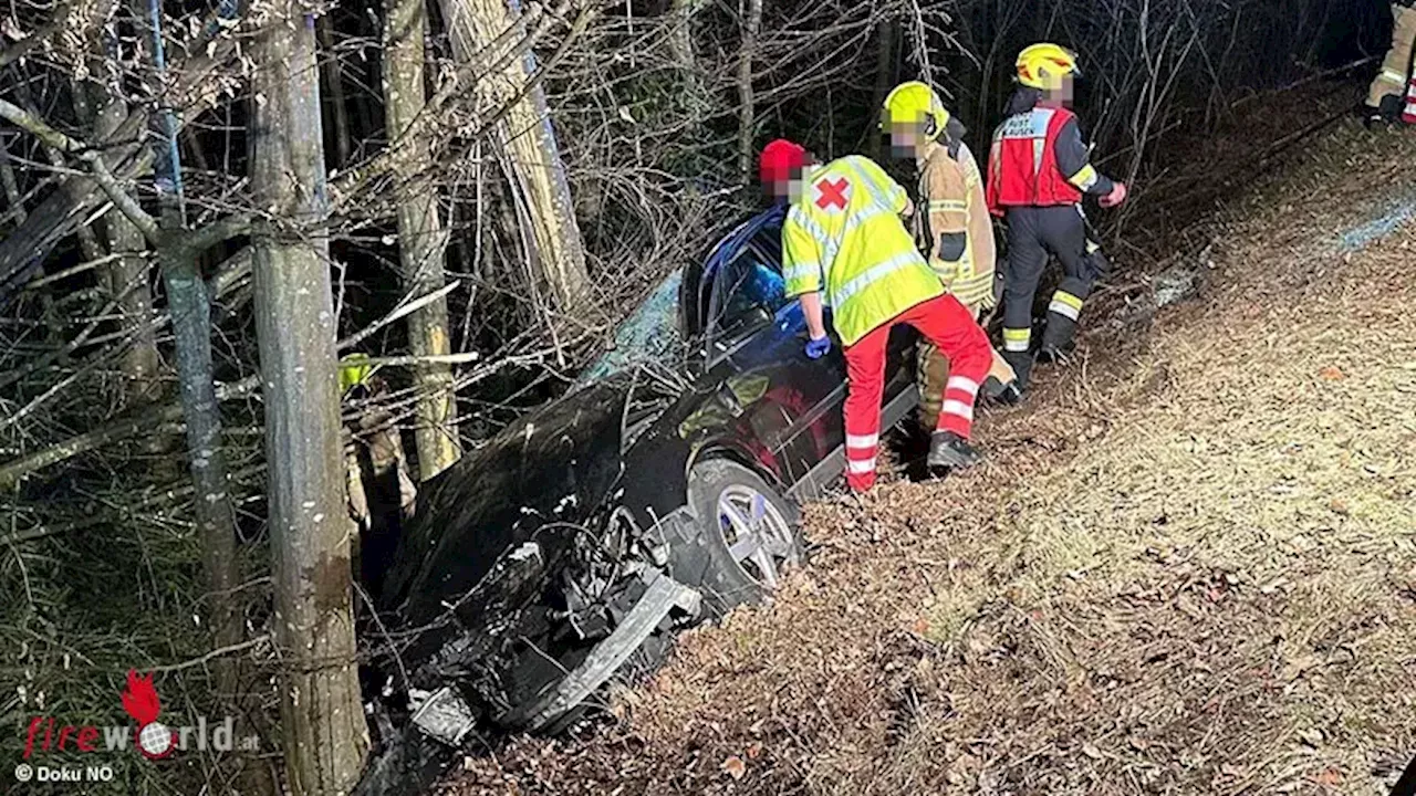 Nö: Pkw gegen Baum bei Pressbaum → zwei Eingeklemmte → drei Schwerverletzte, ein Toter (20)