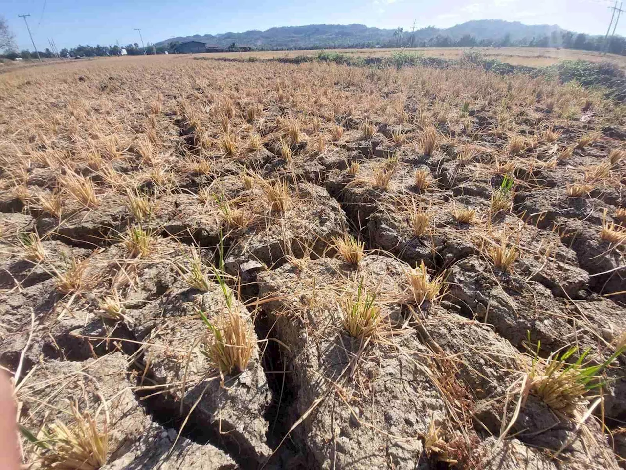 Price freeze enforced in two drought-hit Oriental Mindoro towns