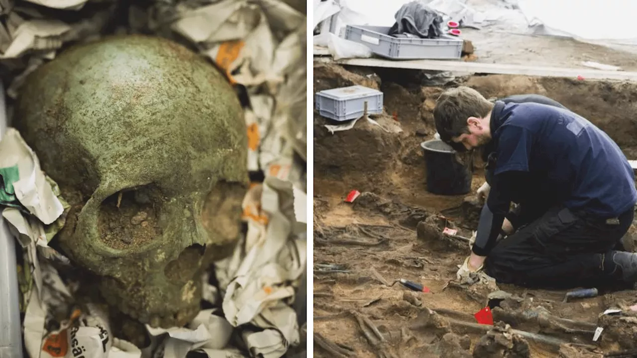 Possibly the ‘largest mass burial’ of plague victims unearthed in German city