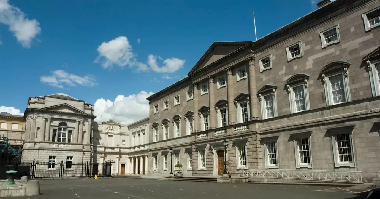 Politicians not charged deposit on bottles and cans in Leinster House