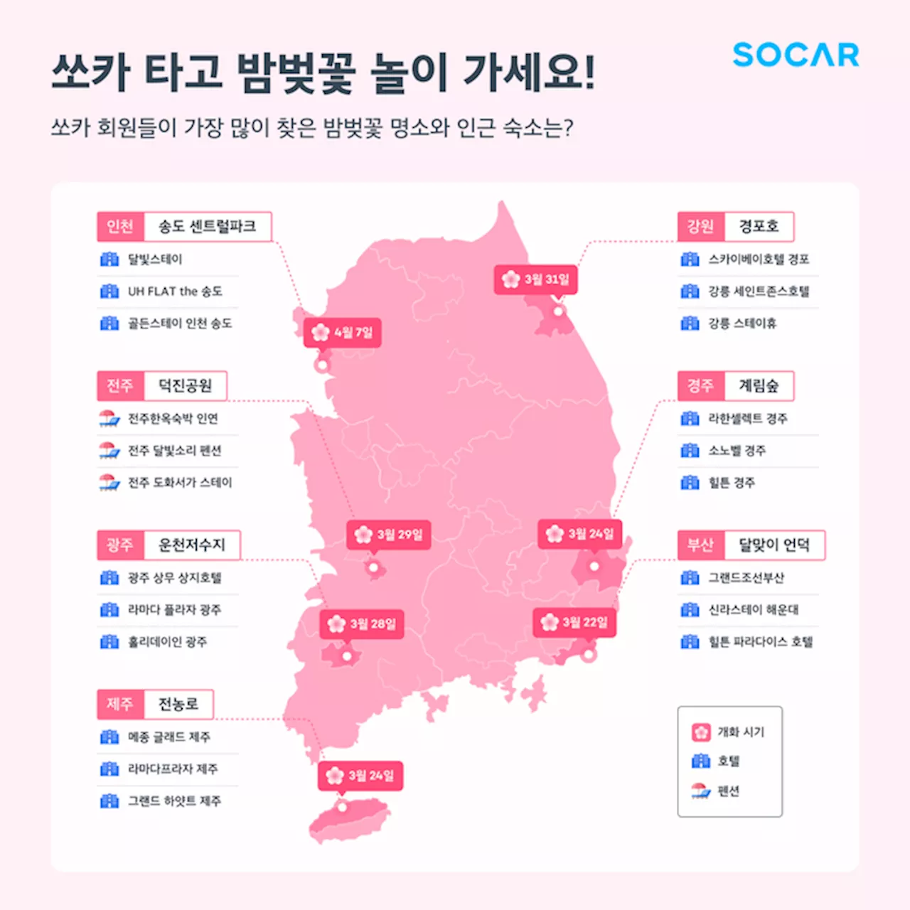 봄바람 휘날리며 흩날리는 벚꽃 잎, 밤 벚꽃 명소 1위는…경주 계림숲