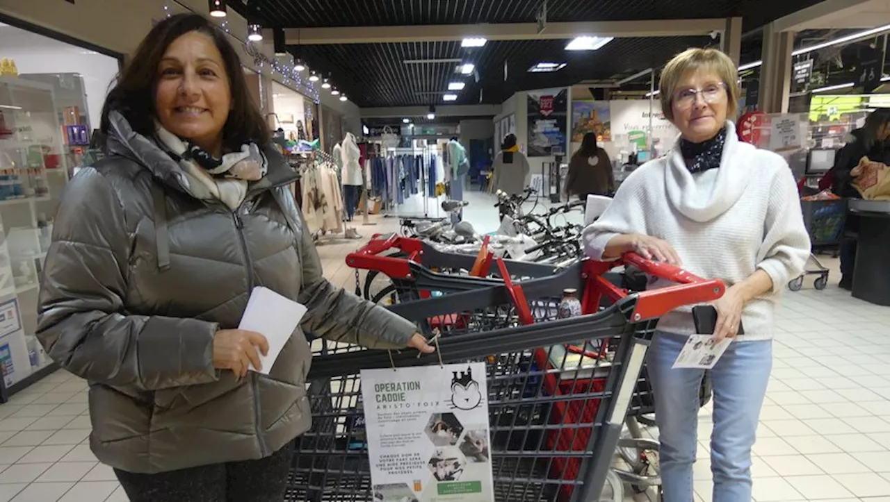 Collecte de produits pour les chats errants à Foix