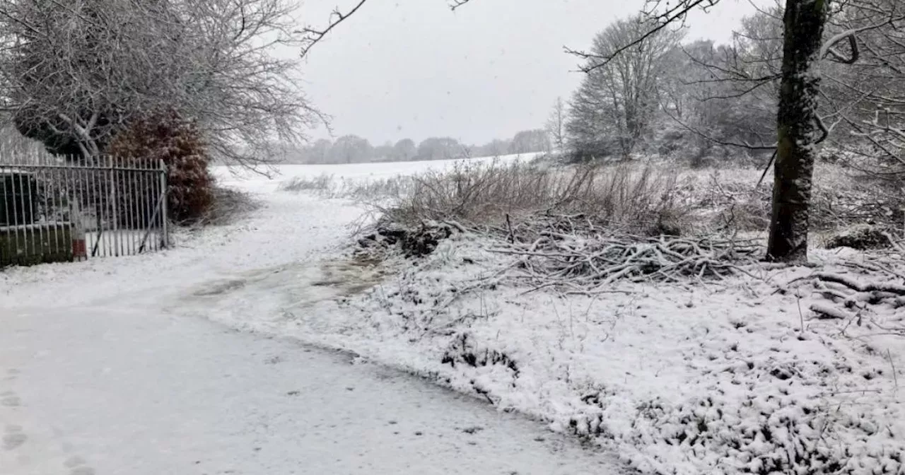 Met Office weighs in on huge snow forecast for UK later this month Weather Head Topics