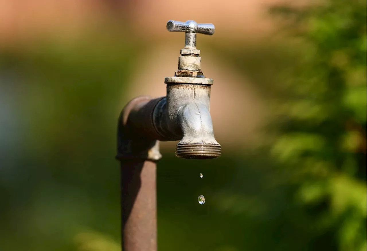 Three generations of Giyani residents have shared drinking water with their livestock