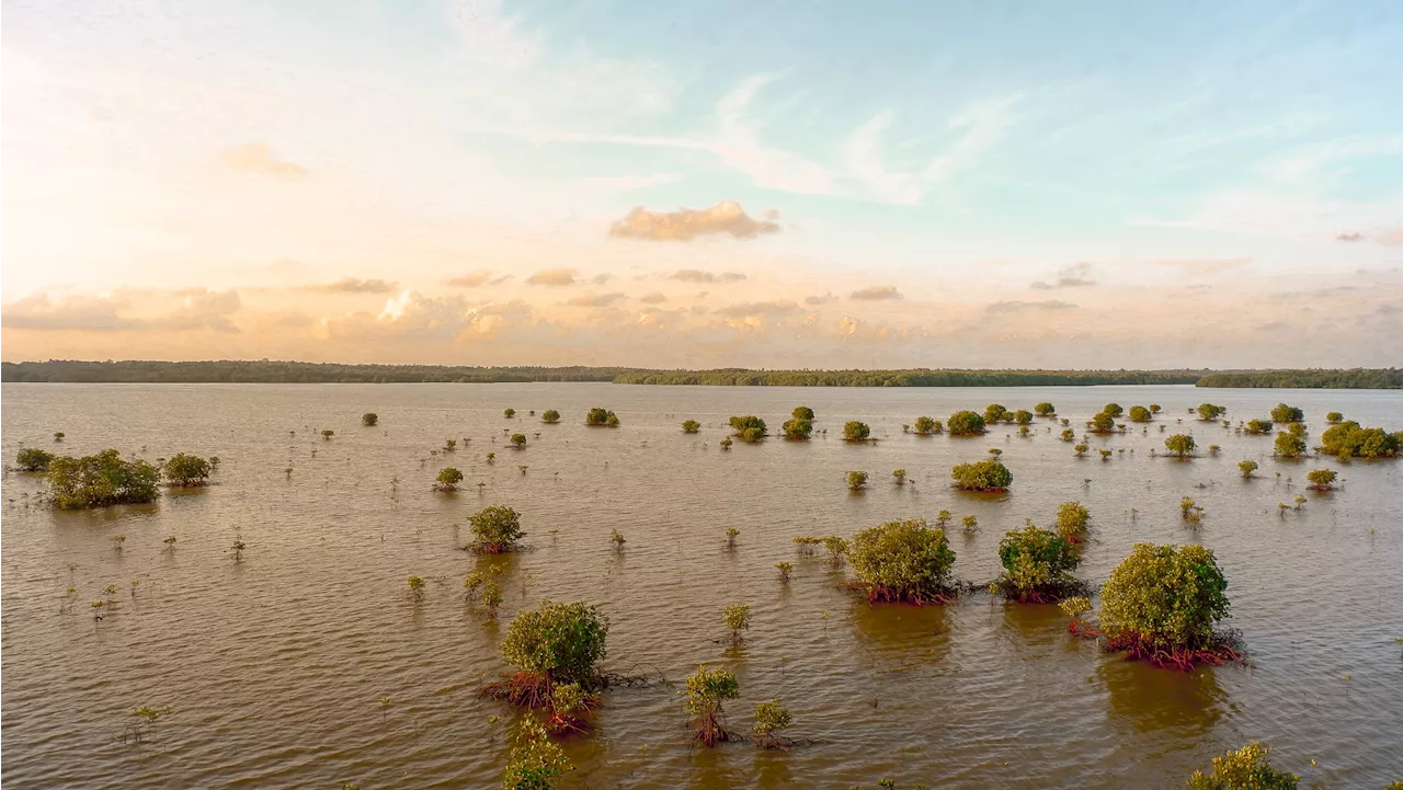 Asia Pacific Tops List of Most Impacted by Weather Perils