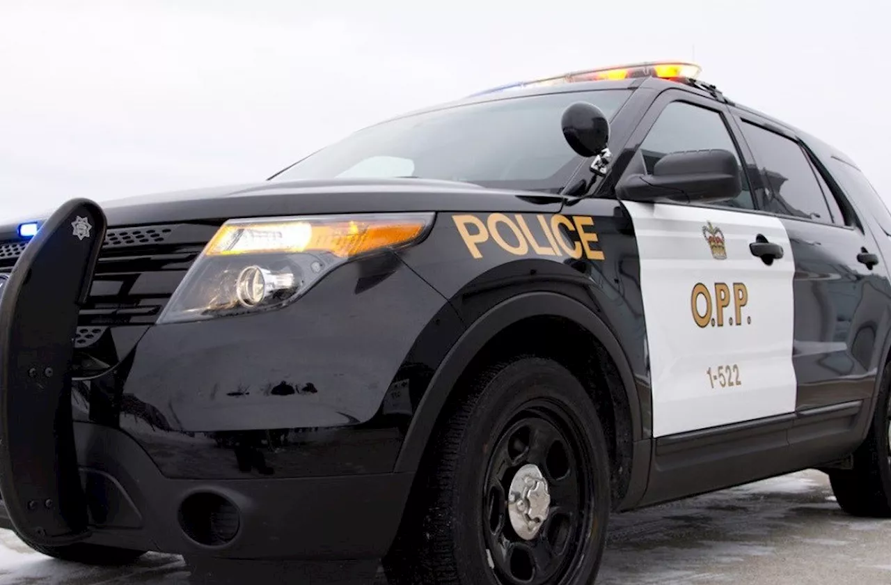 Two teenagers charged with stealing a motor vehicle in Sudbury