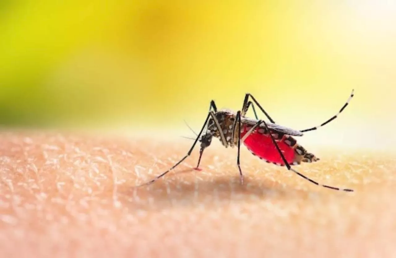 Repurposed antiviral drugs being evaluated as potential treatment against dengue