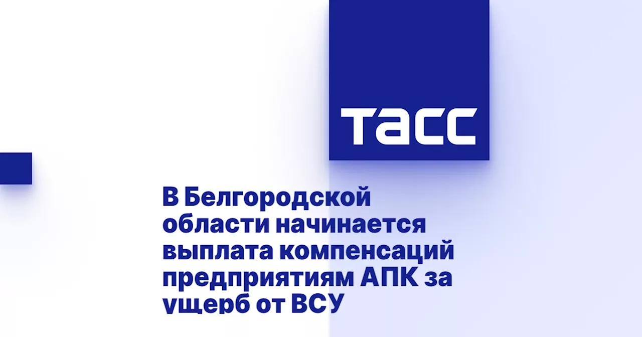 В Белгородской области начинается выплата компенсаций предприятиям АПК за ущерб от ВСУ