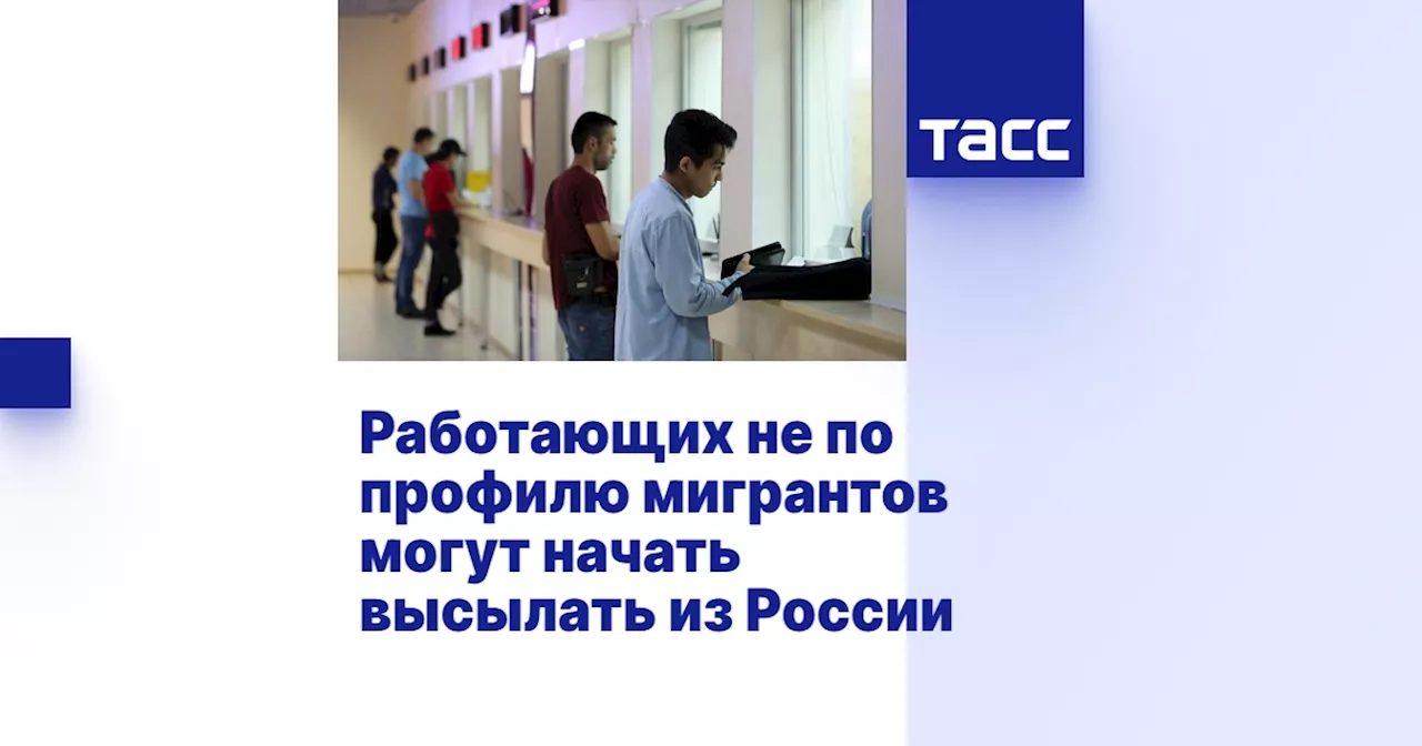 Работающих не по профилю мигрантов могут начать высылать из России