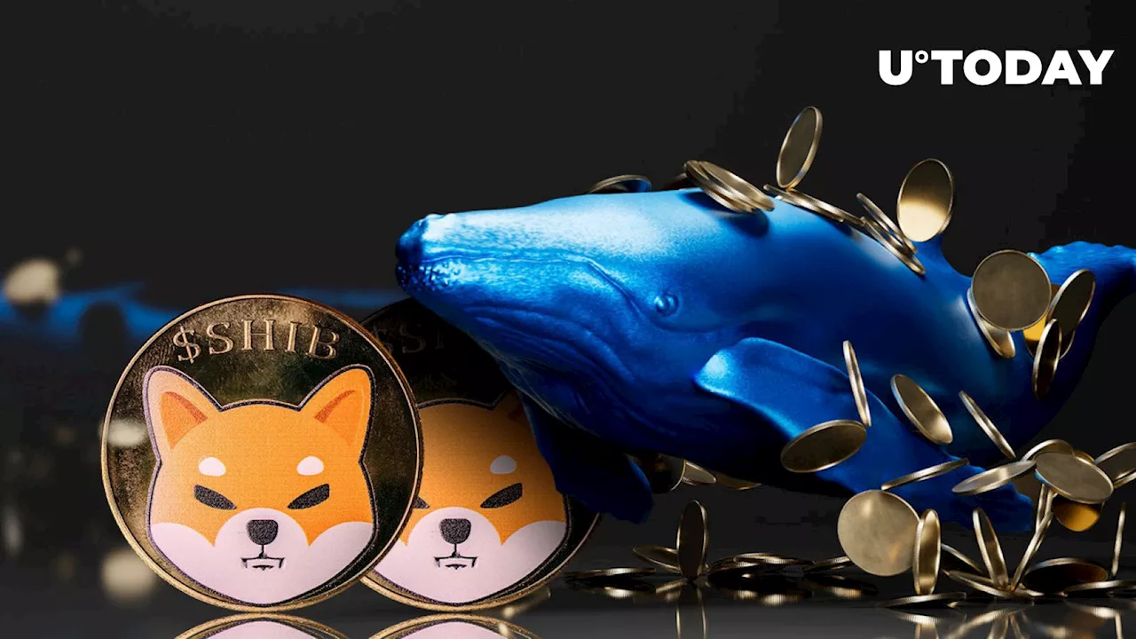 Shiba Inu (SHIB) Whales Disappear as Large Transactions Plummet