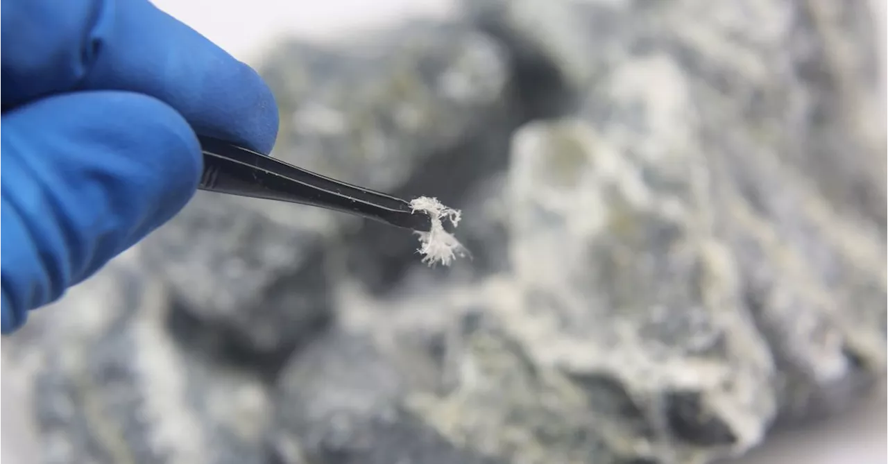 Australia could see a rise in asbestos-related diseases, expert warns