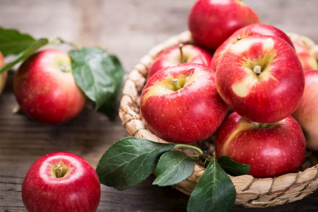 Les bienfaits de la pomme avant de dormir