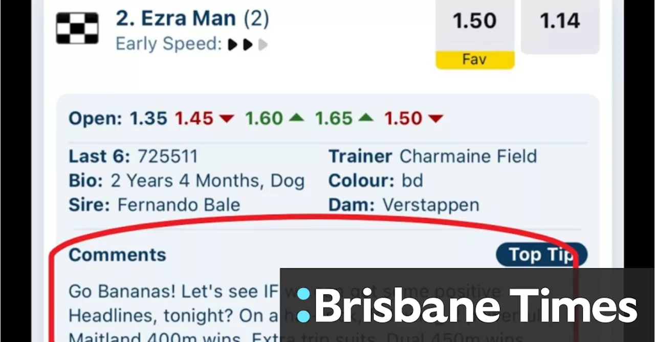 ‘Go Bananas’: Greyhound Racing NSW sacks staffer over Ezra Mam gaffe