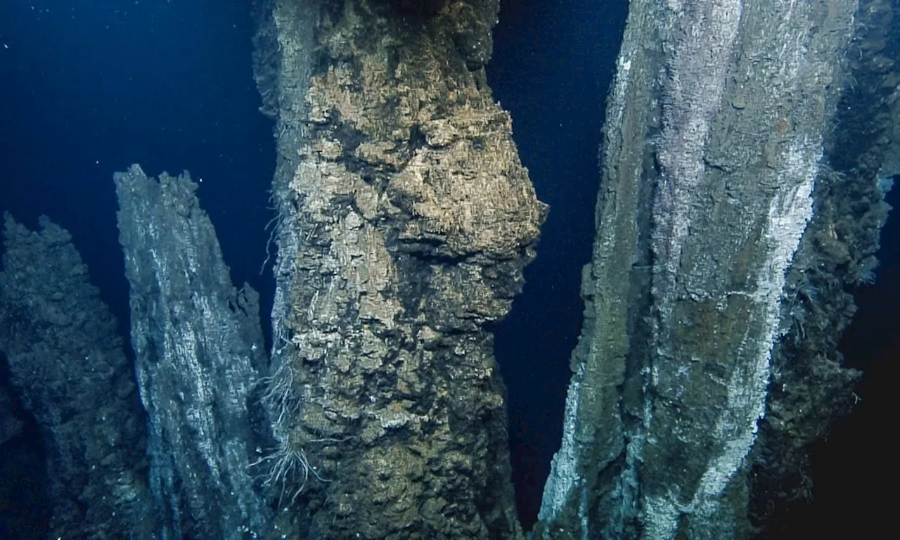 Deep-sea eruption expected off Vancouver Island after 200 earthquakes in an hour